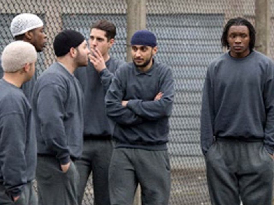 Offender (2012) online watch www.hdmegavideo.net