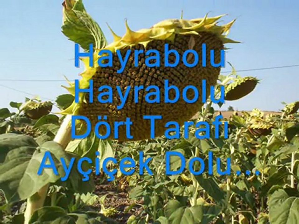 Hayrabolu , Hayrabolu  (Hayrabolum)