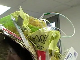 VESOUL : UNE CATHERINETTE AU CHI 70