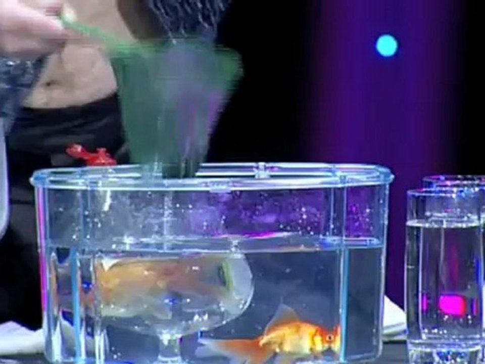 divers_183_3