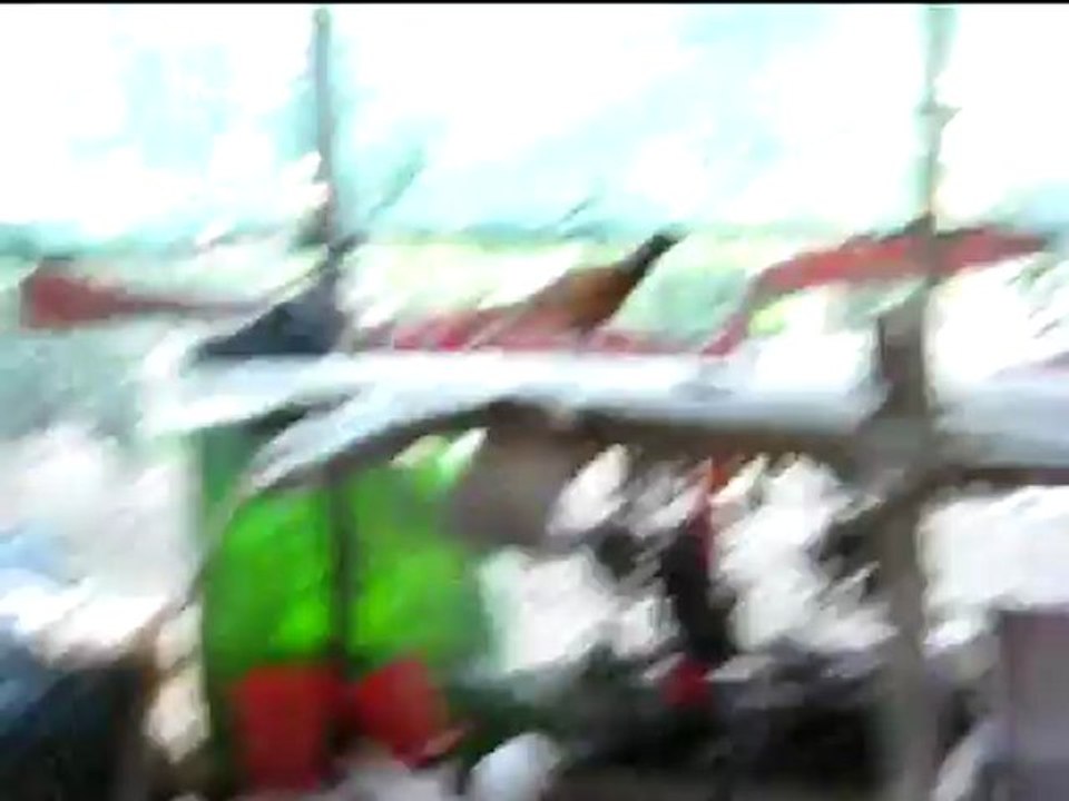 Gazi Köyü 23.10.2011-7 VELİ TUNA GÜNEŞ & OSMAN ARDA GÜNEŞ