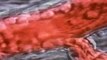 Vasos sanguíneos - un efectivo sistema de transporte de nutrientes y residuos | En forma