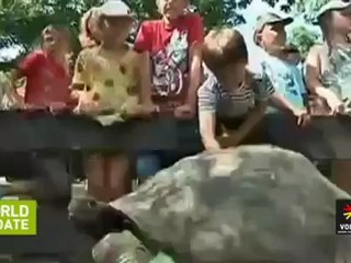 'Gangnam Style' หลีกไป 'Grandpa style' มาแล้ว ​