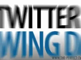 The Perfect Tweet - Getting Your Point Across in 120 Characters or Less - The Book