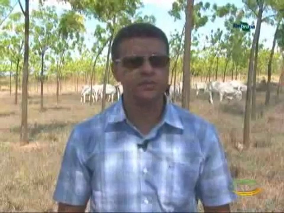 Dia de Campo na TV do dia 24-11-2012