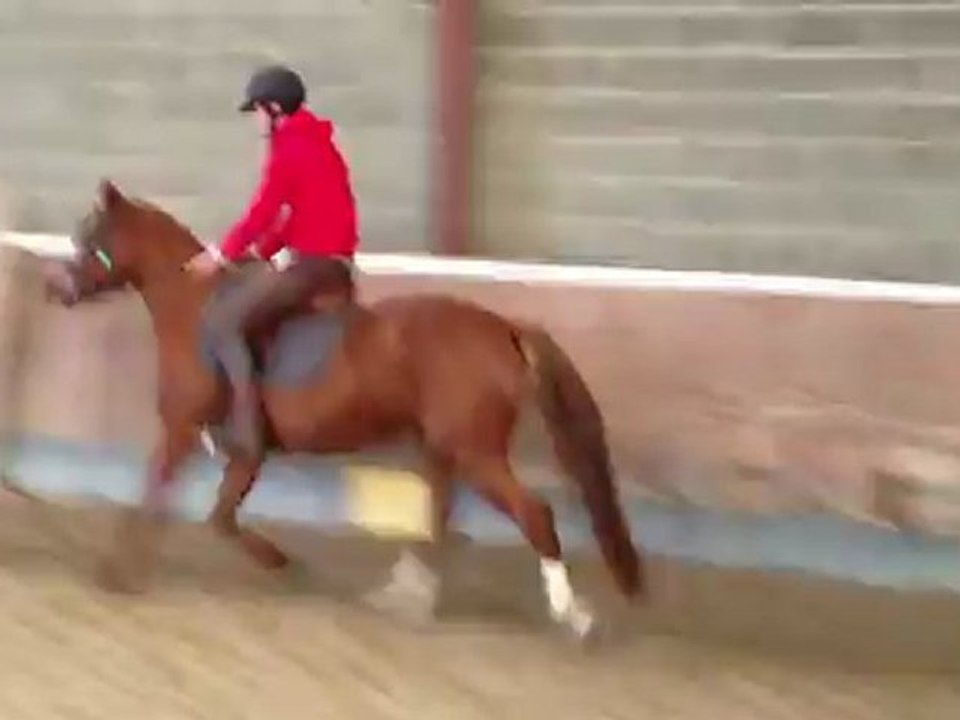 Aqualika Troidés : 1ère séance lâchée .