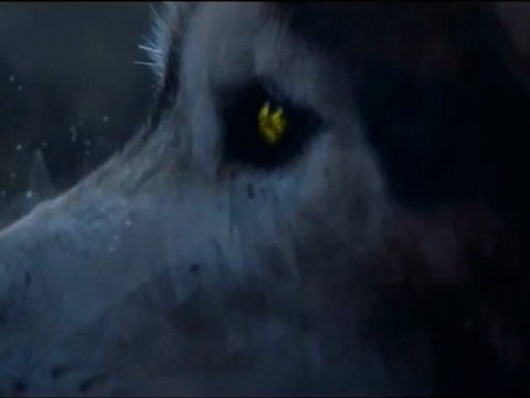 CLIP GUETTA VS SANDRO SILVA