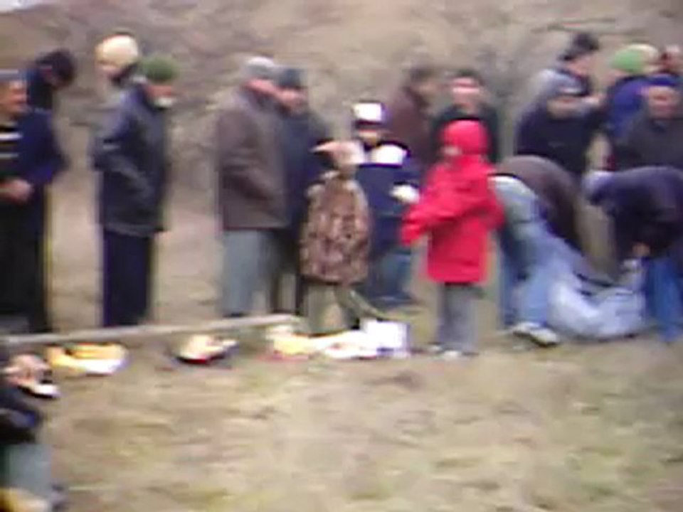eski arife 7