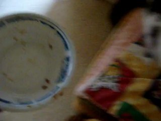 Féline avait très faim