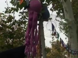 Ovejas e instalaciones de lana abrigan la ciudad