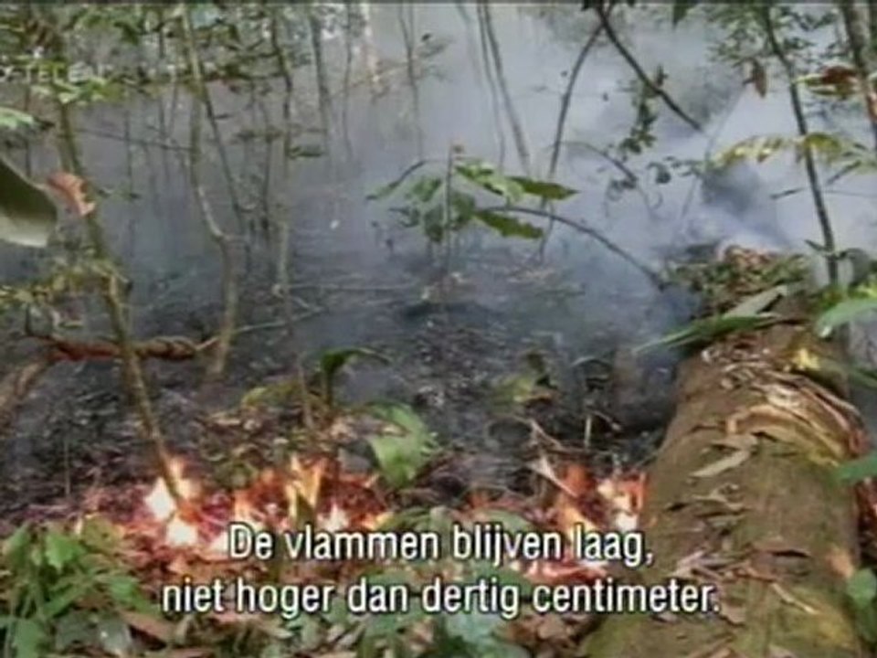 Beagle - Aflevering 7