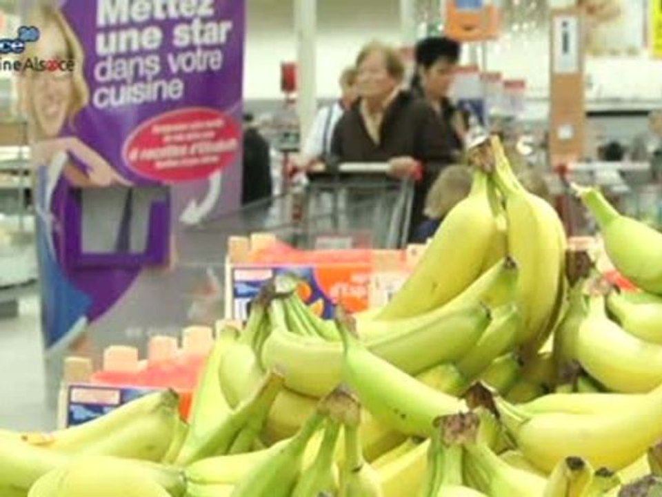 Hebdo DD : Le développement durable en Alsace (22/11)