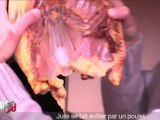 Julie se fait enfiler par un poulet - C'Cauet sur NRJ