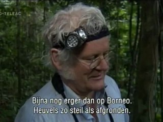Beagle - Aflevering 24