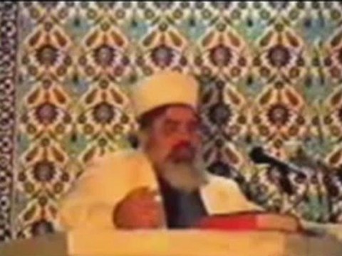 Kaktüs Bitkisi - Timurtaş Uçar Hoca