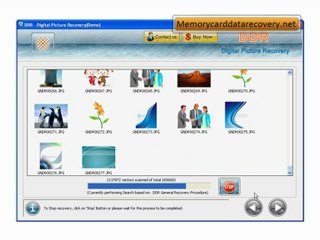 free digital picture pictures photo photos recovery restore repair software tool utility freeware download how to recover digital picture pictures