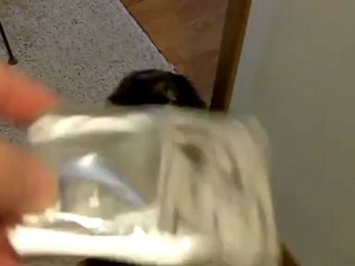 China's Finest: "Sony" ECM-DS70P Microphone Test!