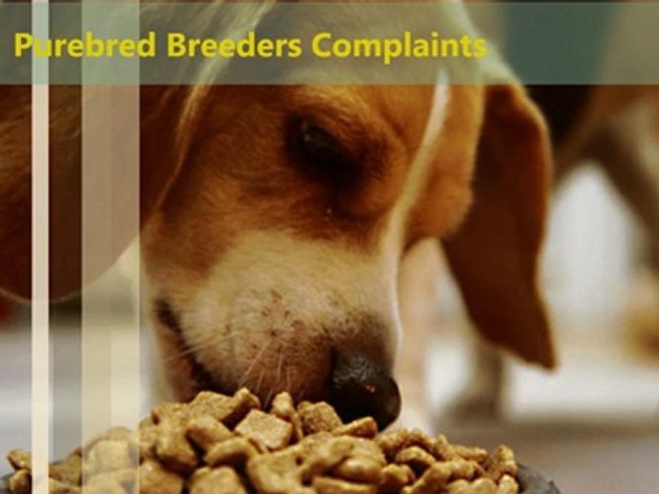 Purebred Breeders Complaints