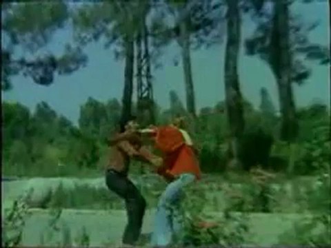 Ferdi Tayfur - Sevda Yelleri