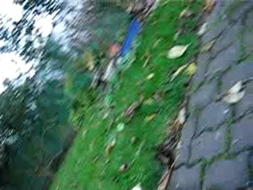 skat