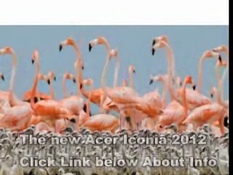 Electronics Black Friday 2013 - Best TABLET Under $300 Sales Online - New Acer Iconia 2012