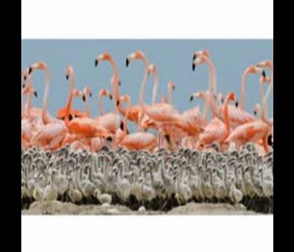 Electronics Black Friday 2013 ad - Best Tablet Under $500 Sales Online - Best Apple Ipad Tablet 2012 - 2013