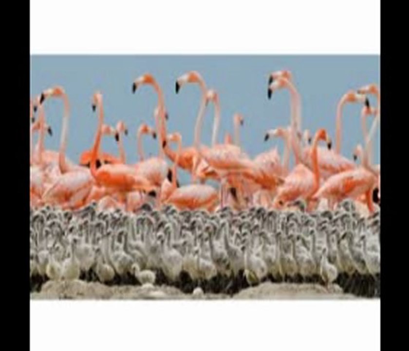 Electronics Black Friday 2013 ad - Best Tablet Under $500 Sales Online - Best Apple Ipad Tablet 2012 - 2013