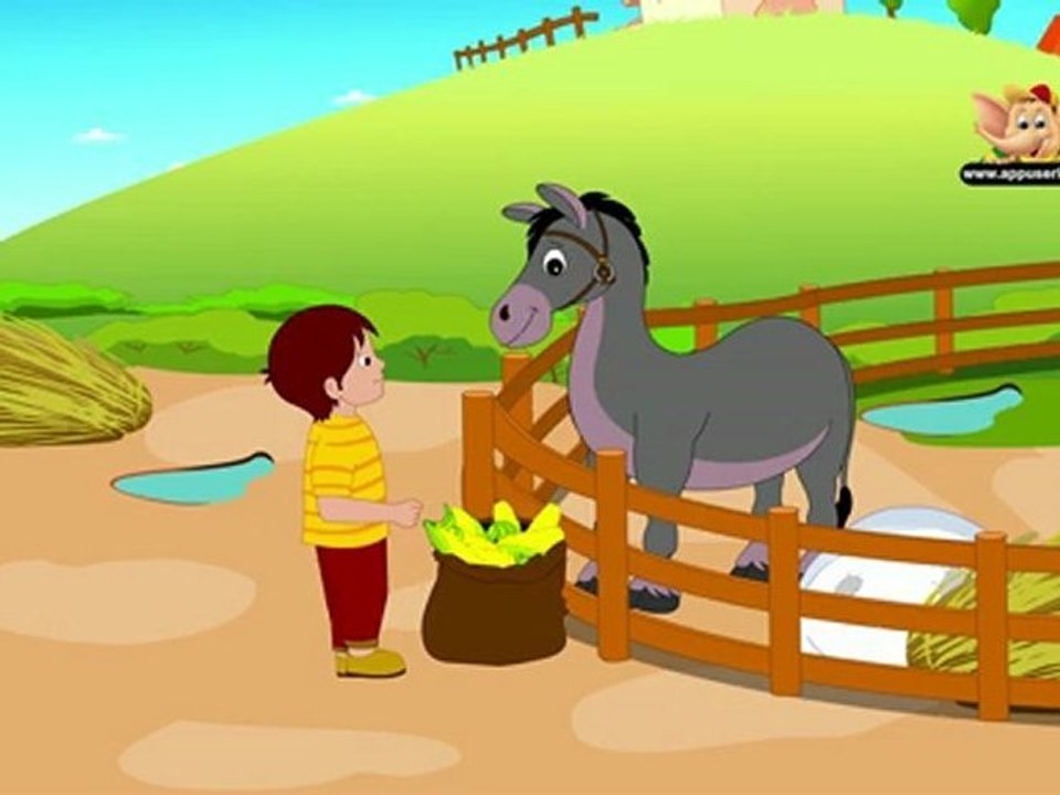 Animal Facts - Donkey