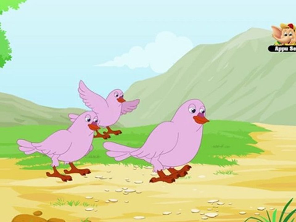 Animal Facts - Dove