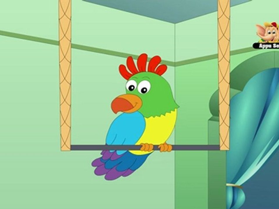 Animal Facts - Parrot