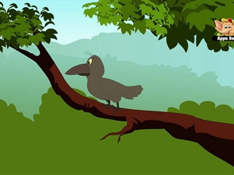 Animal Facts - Raven