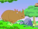 Animal Facts - Rhinoceros