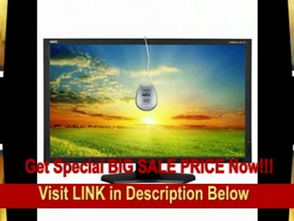 [BEST PRICE] NEC MultiSync PA271W-BK-SV 27-Inch LCD Monitor