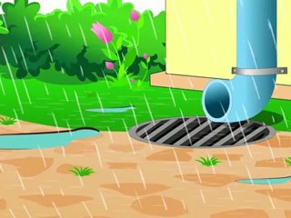 Animal Facts - Spider