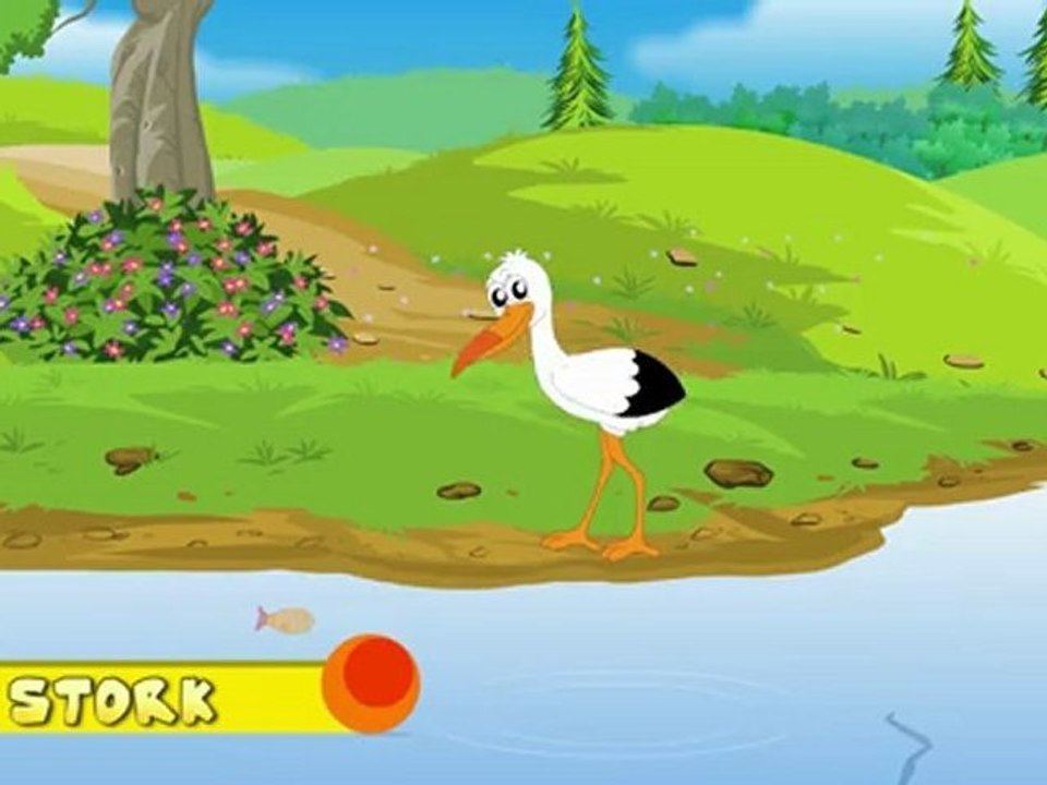Animal Facts - Stork