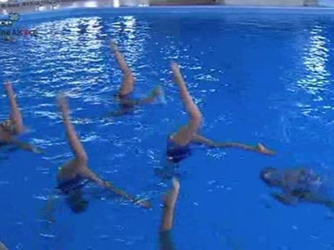 Le gala annuel du Ballet Nautique de Strasbourg