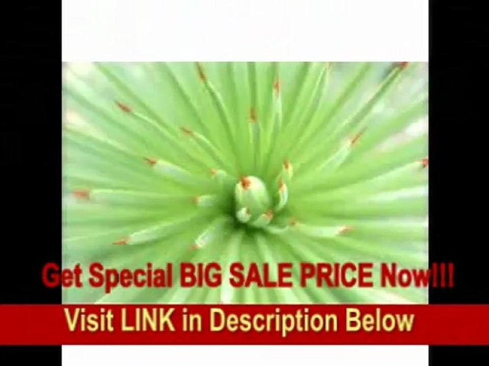 [BEST PRICE] Sigma 20mm f/1.8 EX DF RF Aspherical Wide Angle Lens for Nikon SLR Cameras