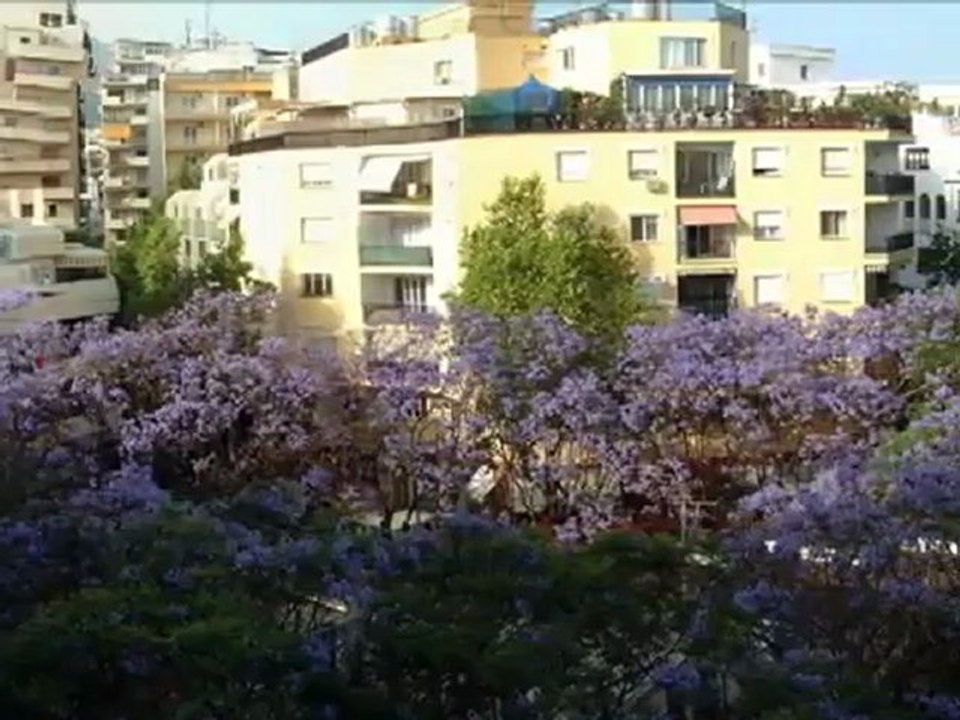 MARBELLA MANSIONS presents A DAY IN MARBELLA