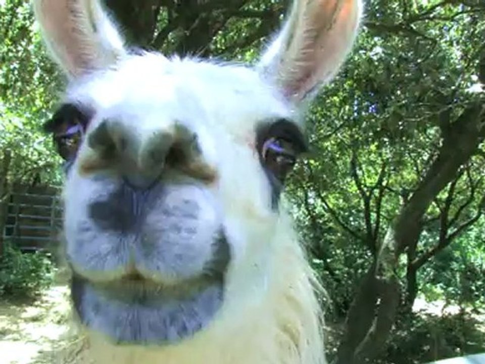 Camping de l'Ibie : Activités par Mathieu Vignal