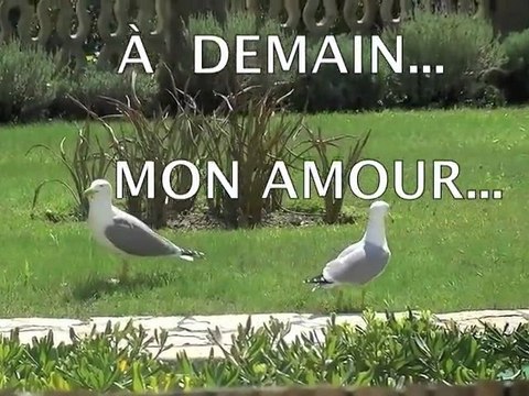 À DEMAIN, POUR TOUJOURS -VIDÉO-TEXTE-VOIX RENÉE-FRANCE BOURDARIE /MUSIQUE PATRICK BOURDARIE