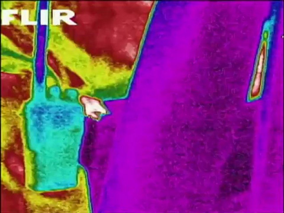 Chasseurs de fantômes - TAPS - Saison 6 - Le plus vieux zoo américain