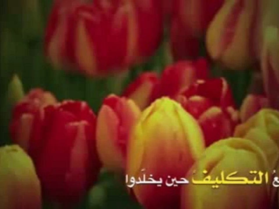 الغنيمة الباردة