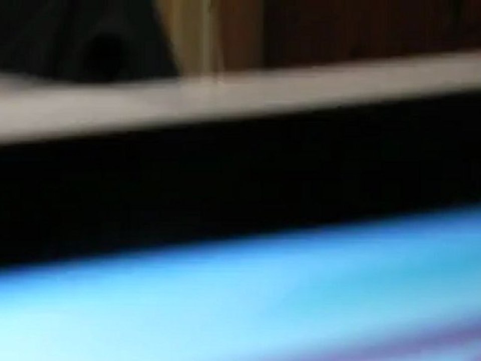 H'ley - Vidéo n°13 - 24 novembre 2012 - elle jappe !!!