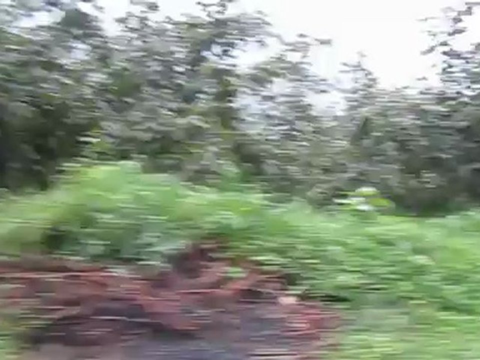 Giresun Bulancak Erdoğan Köyü Çukur Yolu Kaya Burnu