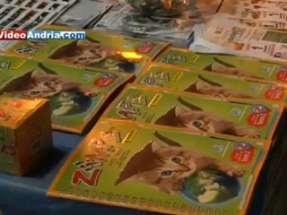 L'Oipa di Andria promuove incontri per il vegetarianismo e i kit di pronto soccorso