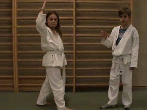 Bunkai : gyaku yokomenuchi irimi hihon