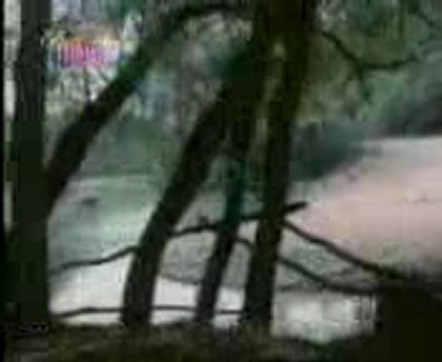 anlamabeni01@hotmail.com  SİTEYE GİREMEYENLER EKLESİN  seslisohbetimiz.com