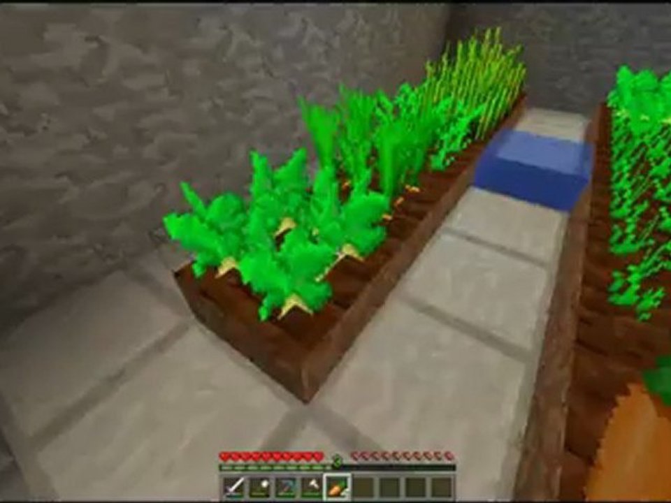 Ma Présentation :)
