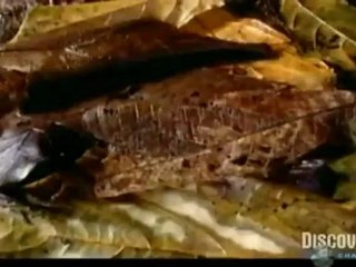 Under The Sun - Part 2: "The Burning Planet"