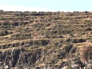 Bolviie- Découverte de l'Ile du Soleil